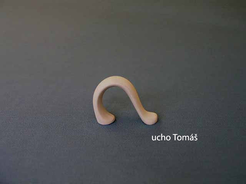 ucho Tomáš